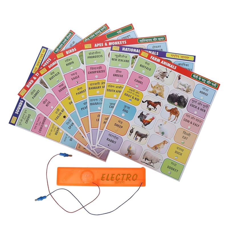Electro Genx Animal & Birds Board Game and Jumbo Shape Sorter Combo